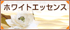 ホワイトエッセンス ミスターマックス湘南藤沢歯科