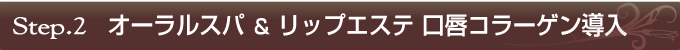 [Step.2]�I�[�����X�p �� ���b�v�G�X�e ���O�R���[�Q������