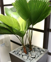 院内の様子